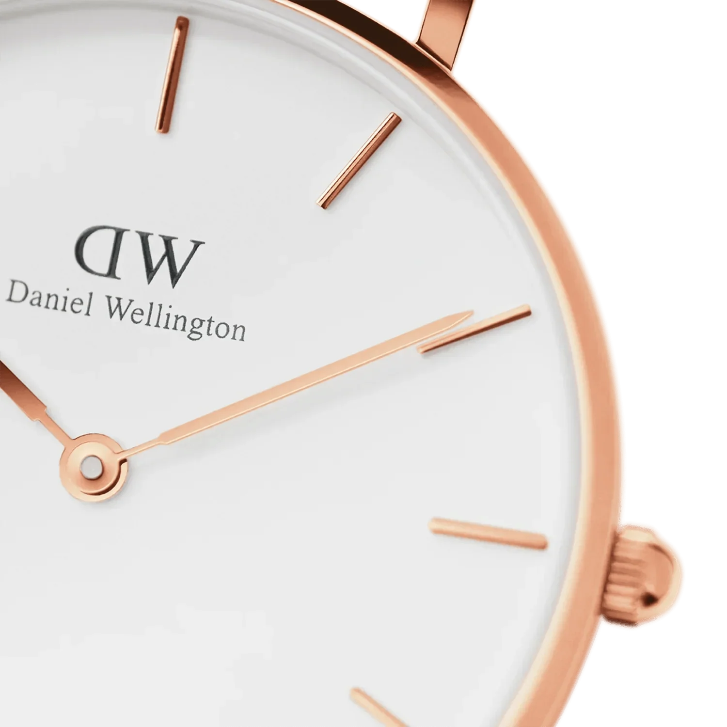 Daniel Wellington Ladies Petitedover White Watch Dw00100313