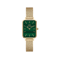 Daniel Wellington Ladies Green Watch Dw00100561