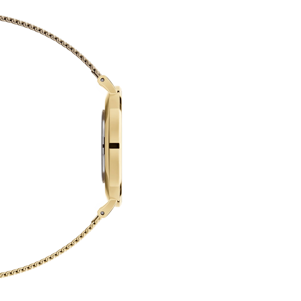 Daniel Wellington Ladies Watch Dw00100346