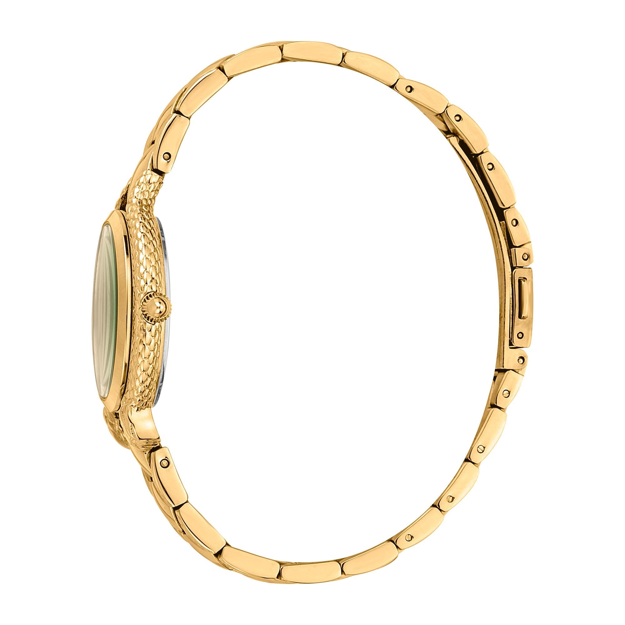 Just Cavalli Cerimonioso Yellow Gold Green