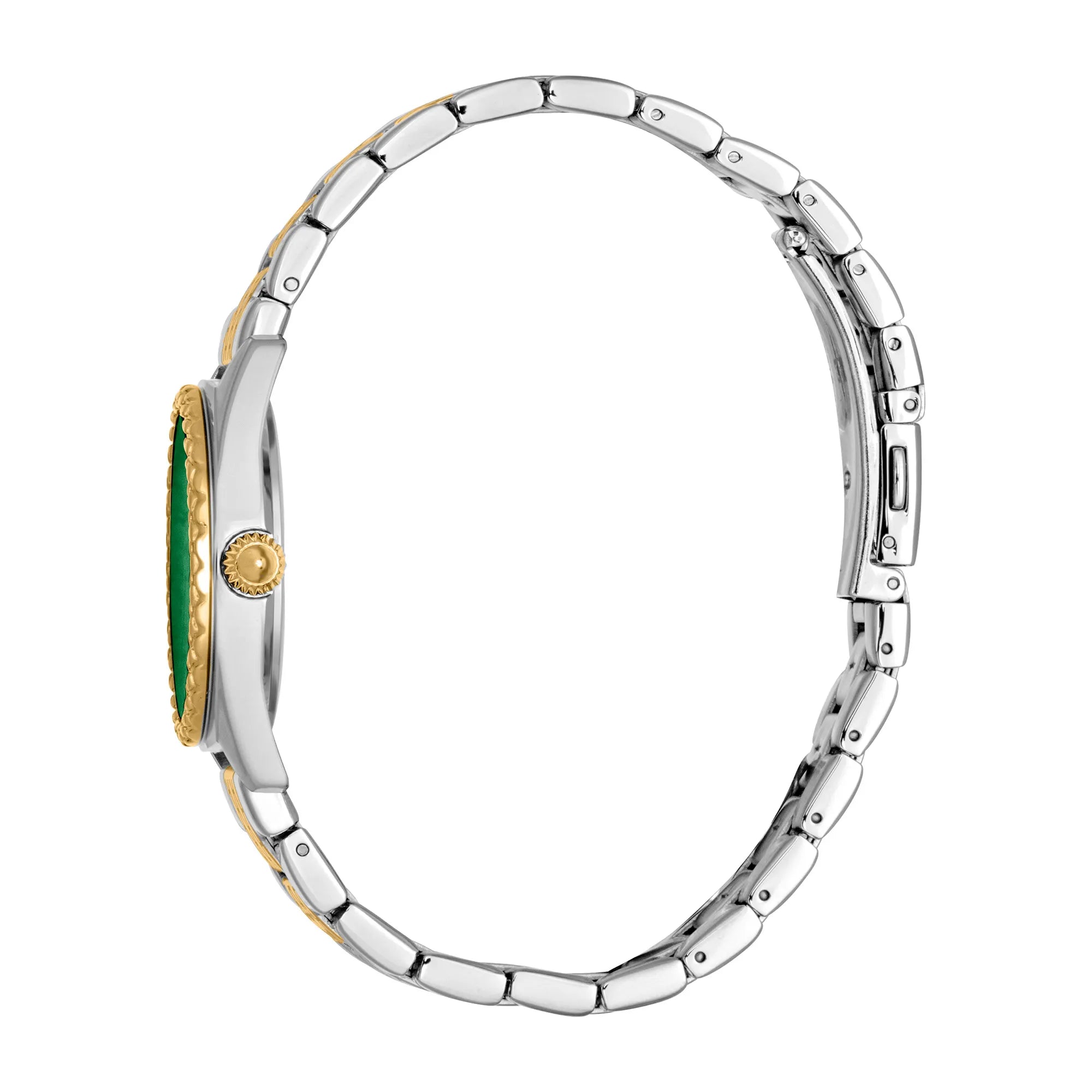 Just Cavalli Fashion Glam Two Tones Green