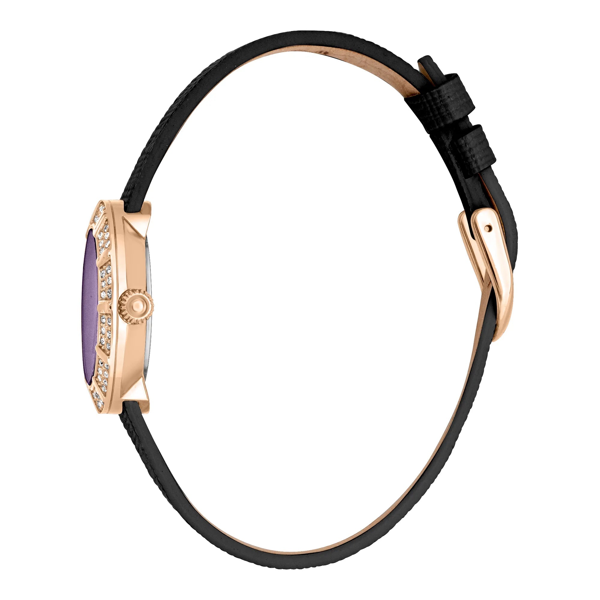 Just Cavalli Eleganza Mini Leather Black RG
