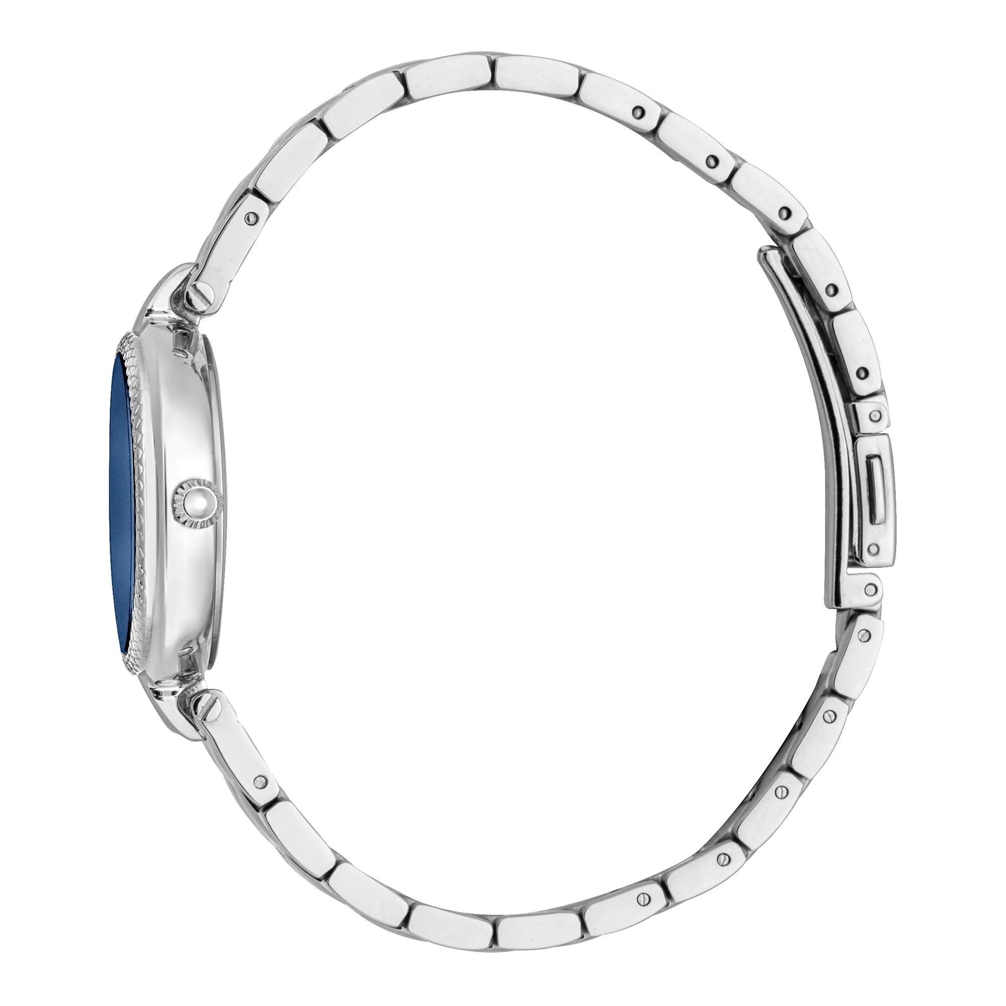 Just Cavalli Donna Leopardo Silver Blue