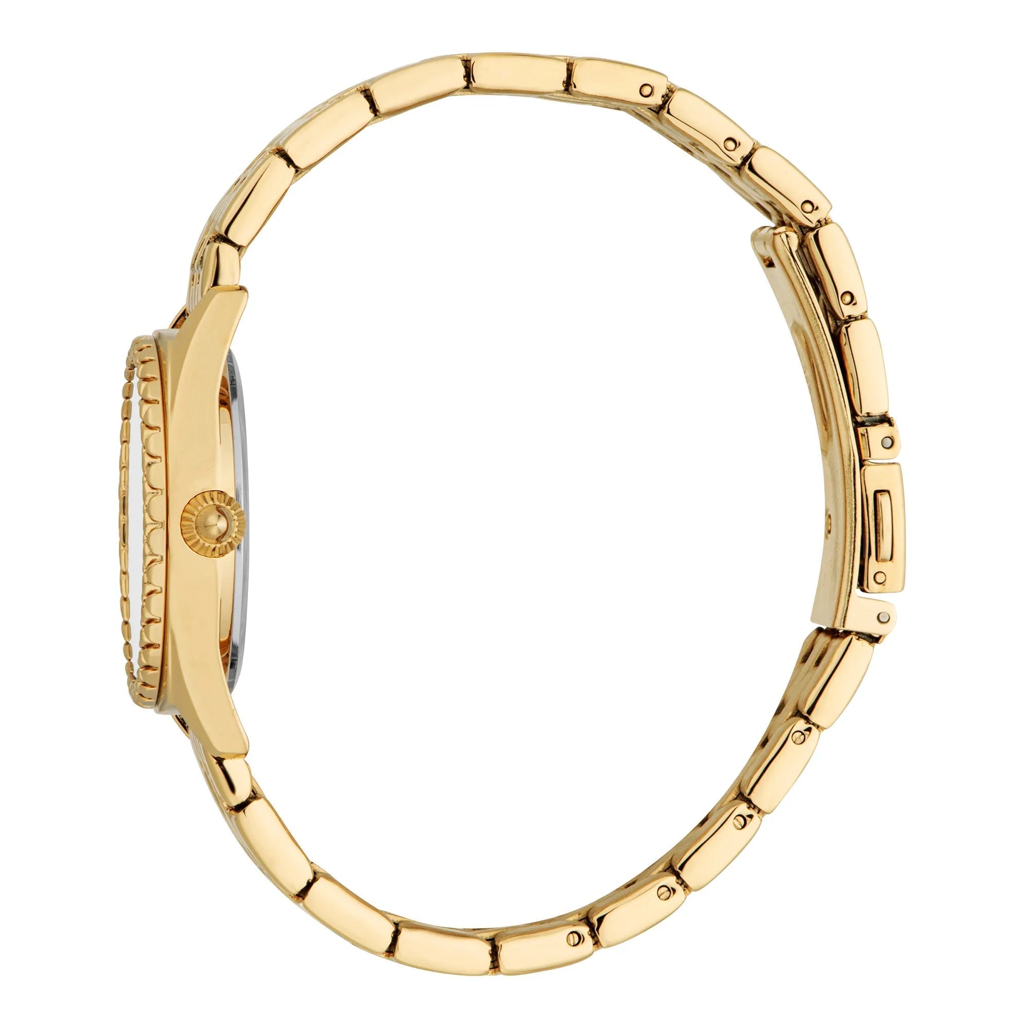 Just Cavalli Indomitable Animalier Yellow Gold Silver