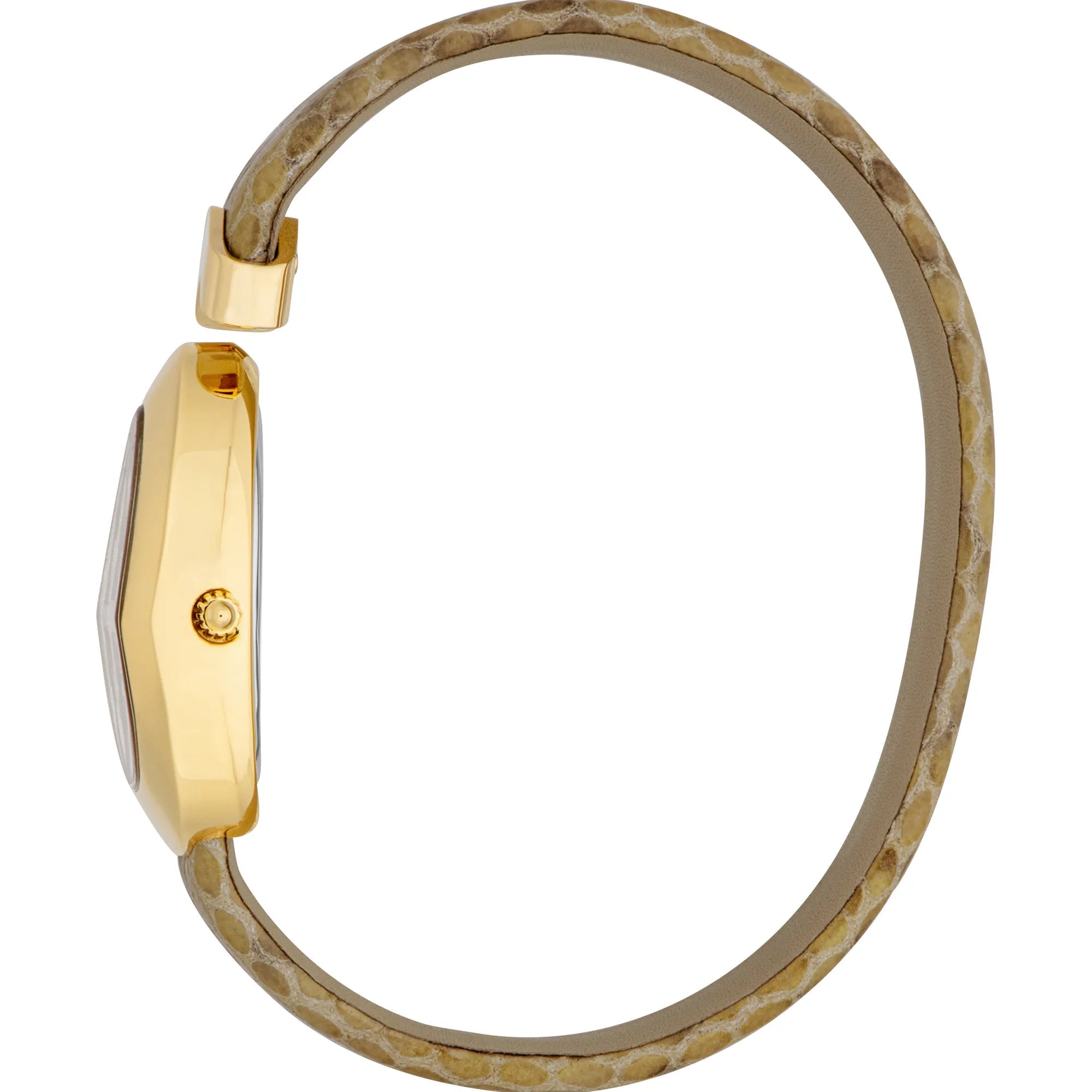Just Cavalli Diversa Snake Cream MOP