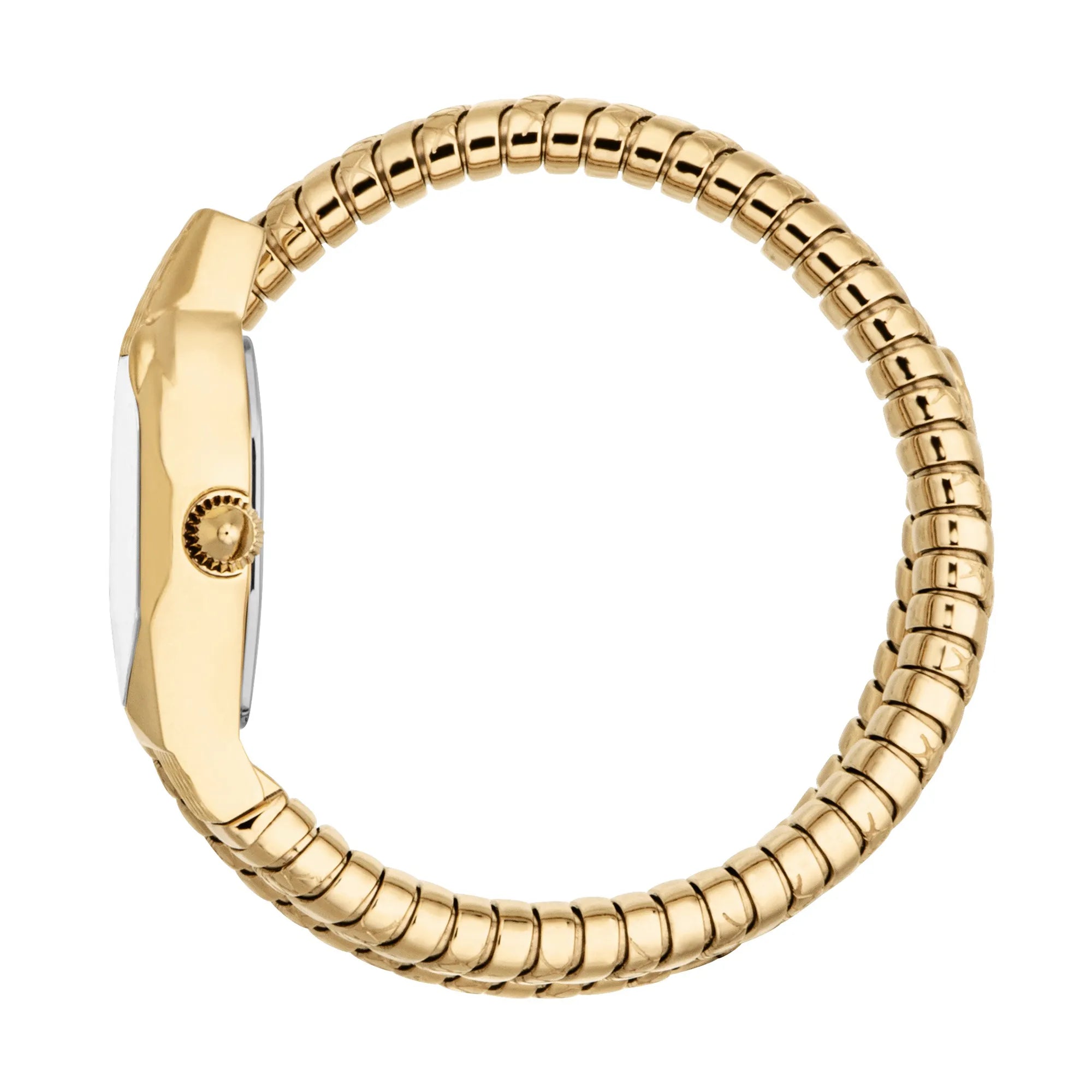 Just Cavalli Aria Yellow Gold Silver