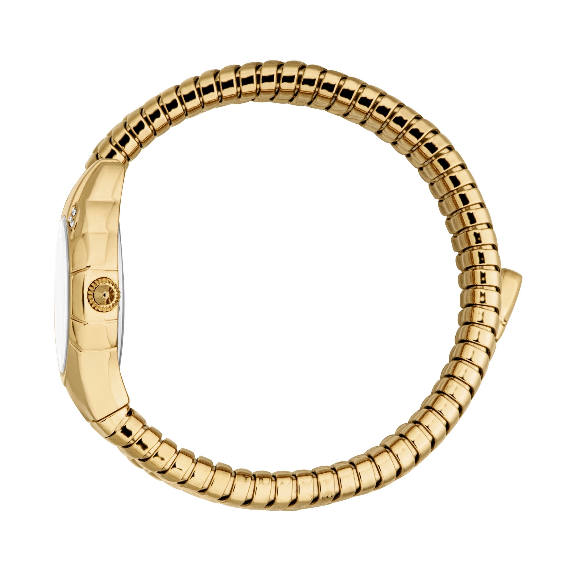 Just Cavalli Amanta Yellow Gold Silver
