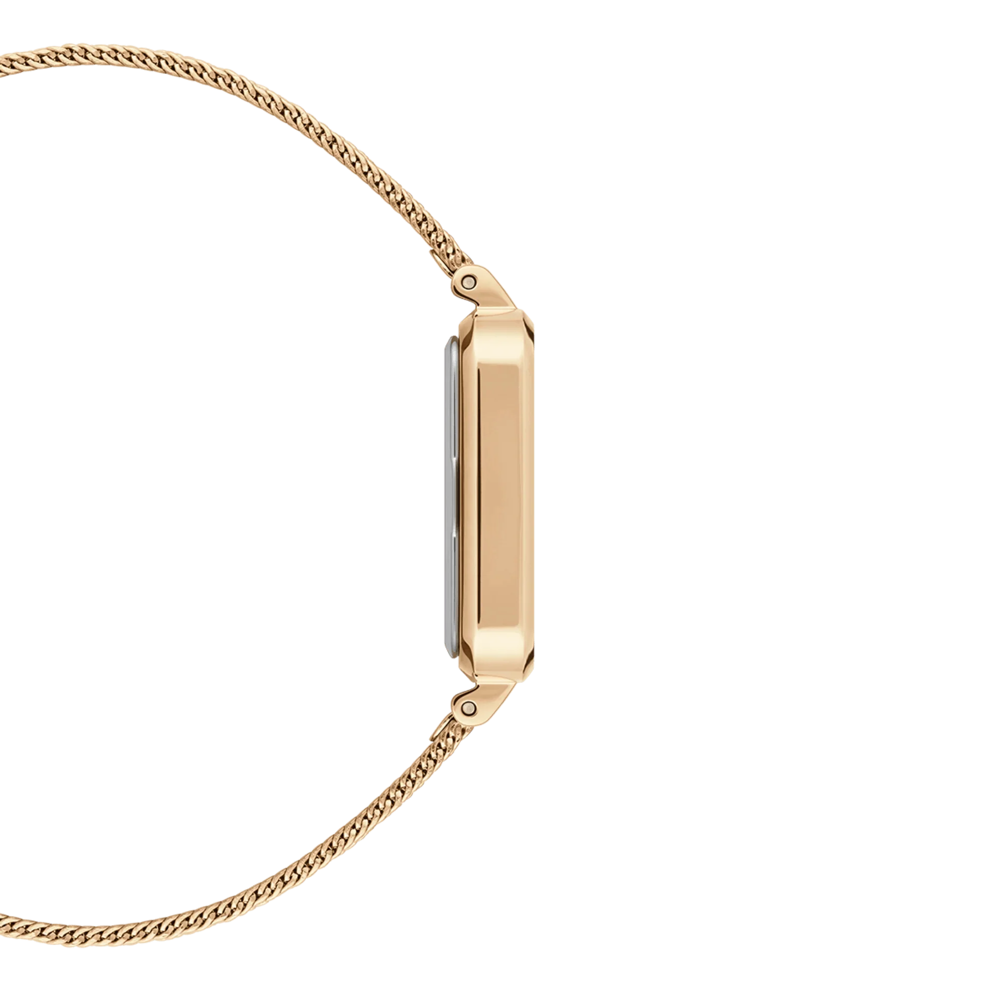 Daniel Wellington Ladies Gold Watch Dw00100556 Copy